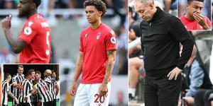 CRAIG HOPE: Careless in possession and anaemic in attack, Nottingham Forest didn't look like a Premier League outfit in defeat at Newcastle (despite spending £85m on 12 new players) 