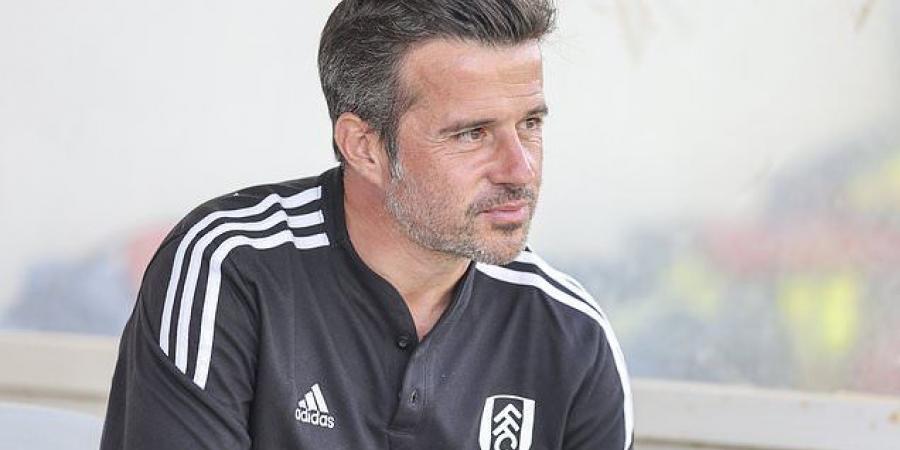 Fulham step up chase for centre-back as newly-promoted side enquire about Chelsea's Malang Sarr and towering Southampton defender Jannick Vestergaard, with West Ham's Issa Diop also on list of targets 