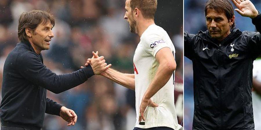 Antonio Conte would have 'zero problem' extending his Tottenham contract if his team continues to make progress and says he isn't motivated by money... as he urges Harry Kane to commit his future to the club  