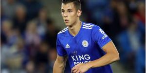 Fourth loan since €14.5m transfer: Leicester defender Benkovic joins ...