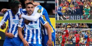 Brighton 2-0 Watford: Mixed emotions for Graham Potter as Neal Maupay scores before being forced off with a shoulder injury... with the Seagulls moving up to second behind Liverpool after a comfortable victory