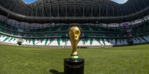 اتحادات دول الشمال الأوروبي تعارض إقامة كأس العالم كل عامين