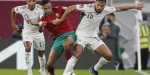 تقارير جزائرية: بلايلي يفسخ عقده مع قطر.. ويخطط للانتقال لأوروبا