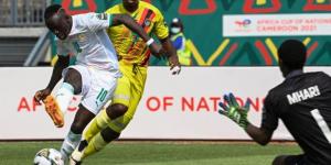 الشوط الثاني ..السنغال 0-0 غينيا .. سار يهدر فرصة للأسود