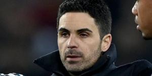 Mikel Arteta admits Arsenal's north London derby against Tottenham on Sunday is at risk of being CALLED OFF... with Gunners close to not having enough players to fulfil the fixture, with ELEVEN of their squad now missing 