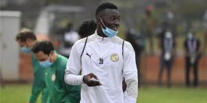 فيفا يورط السنغال في أمم إفريقيا ويقرر إيقاف لاعبه عن كرة القدم