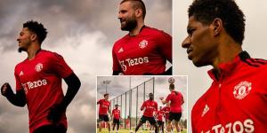 Manchester United could be boosted by the return of England trio Marcus Rashford, Luke Shaw and Jadon Sancho for the trip to Crystal Palace... as they look to ensure Europa League football next season
