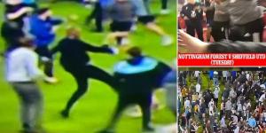 Police investigate after Crystal Palace boss Patrick Vieira is seen ATTACKING Everton fan who screamed at him 'suck on that you muppet!' as man, 25, is arrested after video appears to show Sheffield United striker Oli McBurnie stamping on a pitch invader