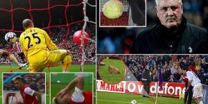 The beach ball that left Pepe Reina stranded, a pig's head thrown at Luis Figo and the CABBAGE thrown at Steve Bruce... Independiente forward Leandro Fernandez being hit in the face by a fish was just the latest weirdest object thrown onto a pitch