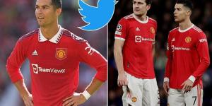 Cristiano Ronaldo and Harry Maguire received more abuse than any other Premier League players on Twitter last season, with EIGHT from Man United in the top 10 most abused and 68% of stars subject to negative messages