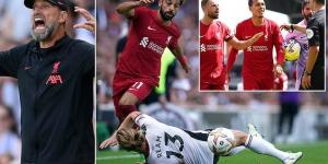 Jurgen Klopp blames a DRY PITCH as Liverpool struggle to an opening day draw at Fulham before tearing into his players' ATTITUDE... admitting they 'didn't deserve' more than a point after Salah and Nunez's second-half rescue act