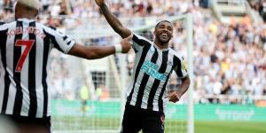 Fabian Schär's rocket and Callum Wilson's delightful chip seal all three points for Newcastle over Nottingham Forest... as Steve Cooper's side fall to defeat in their return to the Premier League