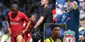 With just FIVE fit options after Thiago joined Liverpool's lengthy midfield injury list - and a gruelling 23 games in three months before the World Cup - can Jurgen Klopp REALLY risk not buying a midfielder this summer?