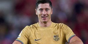 Mallorca 0-1 Barcelona: Striker Robert Lewandowski nets his ninth goal in seven league games - and 12th this season - to secure nervy victory as unbeaten Barca go top of La Liga