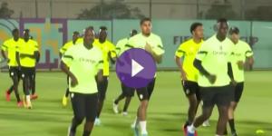 منتخب السنغال يبدأ تدريباته على ملعب نادي الدحيل