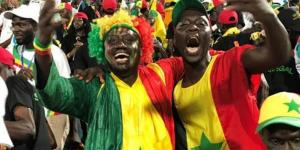 معلق مباراة السنغال ضد هولندا في كأس العالم 2022