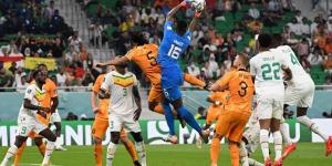 السنغال ضد هولندا - شاهد كيف تتابع الجماهير السنغالية المباراة؟ "فيديو"
