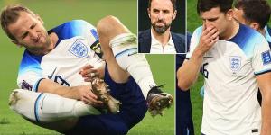 'I haven't seen anything of concern': Gareth Southgate insists Harry Kane is 'fine' after he limped away from England's World Cup opener against Iran with strapping on his ankle... and reveals Harry Maguire's substitution was just a precaution ahead of USA