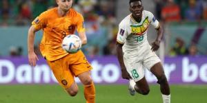 السنغال ضد هولندا .. ديلي ميل : هزيمة مؤلمة لأسود الترينجا