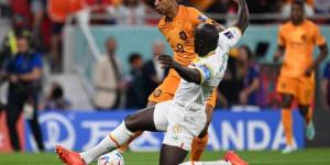 تشكيل السنغال المتوقع لمواجهة قطر في كأس العالم 2022