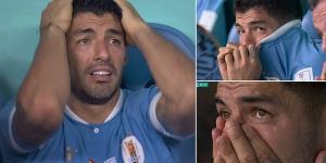 Luis Suarez on the verge of TEARS while on the substitutes bench after Hwang Hee-chan's late strike for South Korea against Portugal condemned Uruguay to an early exit despite leading Ghana 2-0 in the other game