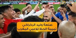 صلعة وليد الركراكي.. تميمة الحظ للاعبي المغرب