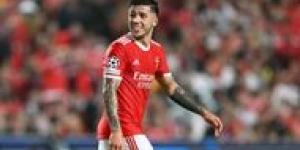 Benfica boss insists Fernandez is staying put 
