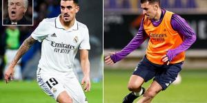 Real Madrid star Dani Ceballos 'watches up to 15 football matches A WEEK' as part of bid to earn UEFA coaching badges with the ex-Arsenal midfielder - who has played under Carlo Ancelotti and Zinedine Zidane - desperate to get into the dugout 