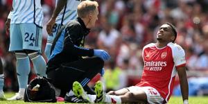 Arsenal's £40m summer signing Jurrien Timber 'is likely to miss Euro 2024' as he recovers from ACL surgery after suffering serious knee injury on his debut