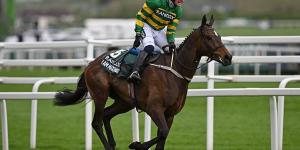 I Am Maximus WINS the Grand National after dramatic finish to the weekend's showpiece race at Aintree... with last year's winner and co-favourite, Corach Rambler, falling at the first hurdle