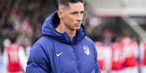 Fernando Torres lands his FIRST senior management role since retiring as a footballer... with the ex-Liverpool and Chelsea star taking charge at third-tier Spanish side