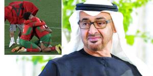 رئيس دولة الإمارات: "أهنئ الملك محمد السادس على الفوز بمونديال الشباب.. إنه إنجاز ينضاف إلى سجل الإنجازات الرياضية المغربية والعربية"