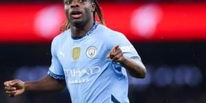 دوكو يحصل على جائزة أفضل لاعب في الجولة بالدوري الإنجليزي