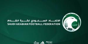 قرار عاجل من الاتحاد السعودي لكرة القدم بشأن نظام لاعبي المواليد