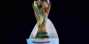 تضم منتخبات عالمية.. قطر تدرس إقامة بطولة مجمعة تحضيرًا لكأس العالم