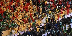 توقيف 18 مشجعا سنغاليا وجزائري على خلفية أحداث نهائي "كان 2025"