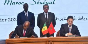 أخنوش: "الشراكة المغربية السنغالية هي ثمرة تاريخ طويل من التعاون والثقة المتبادلة.. وكأس أفريقيا أظهرت قدرة المغرب على تنظيم تظاهرات كبرى وفق المعايير الدولية"