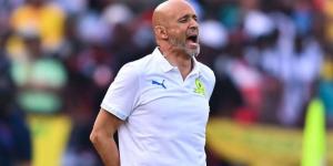 البرتغالي كاردوزو يخوض النهائي الثالث تواليًا في دوري أبطال إفريقيا