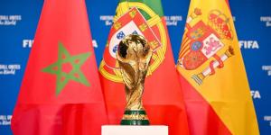 رئيس الاتحاد الإسباني يطالب حكومته بقيادة ملف مونديال 2030 لمواجهة قوة المغرب