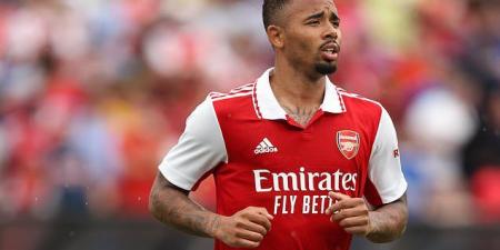 Gabriel Jesus labels Arsenal team-mate Gabriel Martinelli as 'an animal' after shining in pre-season friendlies for the Gunners... and claims his big-money move to north London is 'the best decision I could have made'