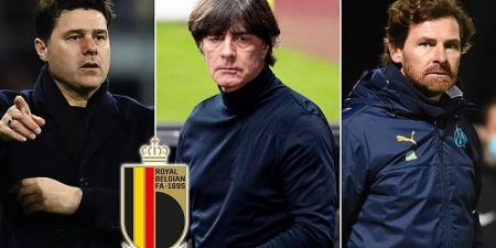 Belgium 'have Joachim Low, Mauricio Pochettino and Andre Villas-Boas on their managerial shortlist' after Thierry Henry distanced himself from replacing Roberto Martinez following dismal Qatar World Cup showing