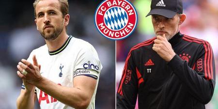 Harry Kane 'had a meeting with Thomas Tuchel at his house' and outlined his 'dream' to win the Champions League with Bayern Munich... as German giants prepare new offer after £60m was rejected by Tottenham 