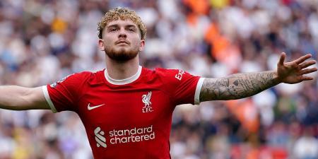 Harvey Elliott scores 'an absolute SCREAMER' to give Liverpool a four-goal lead over Ange Postecoglou's struggling Spurs... with one fan saying 'hang that in the Louvre'
