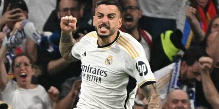 From fan at the final to Real Madrid's hero in just two years: Ex-Stoke and Newcastle flop Joselu proved football can make dreams come true after his late heroics against Bayern Munich