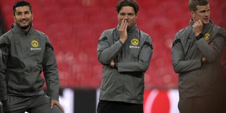 Revealed: Borussia Dortmund turn to ex-Liverpool midfielder as Edin Terzic replacement... after the boss quit over a 'violent confrontation' with Mats Hummels