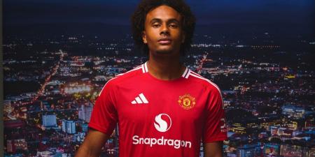New signing Joshua Zirkzee is 'confident' in Erik ten Hag and Ineos' plan to put Man United back on top as he opens up on 'rollercoaster few weeks' prior to £36.5m switch