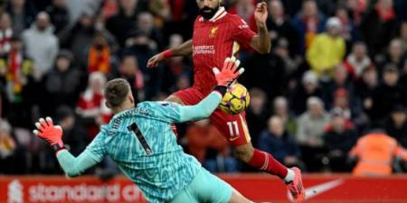 إلى الصدارة - محمد صلاح يقود ليفربول لتخطي برايتون بثنائية في الدوري الإنجليزي