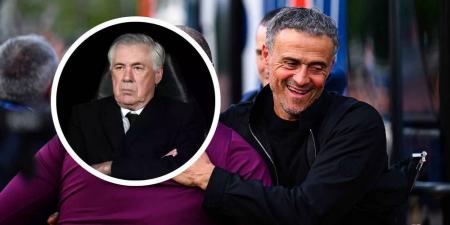 إنريكي: "لا أتمنى النجاح لأنشيلوتي مع المنتخب البرازيلي"