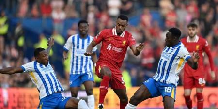 أهداف مباراة ليفربول ضد برايتون في الدوري الإنجليزي "فيديو"