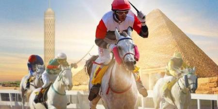 مصر تستضيف إحدى محطات كأس رئيس دولة الإمارات للخيول العربية الأصيلة